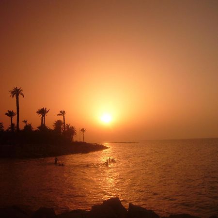 فندق لو بالميرز المنستير المظهر الخارجي الصورة